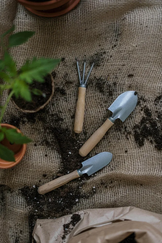 Outils de jardin à Matha